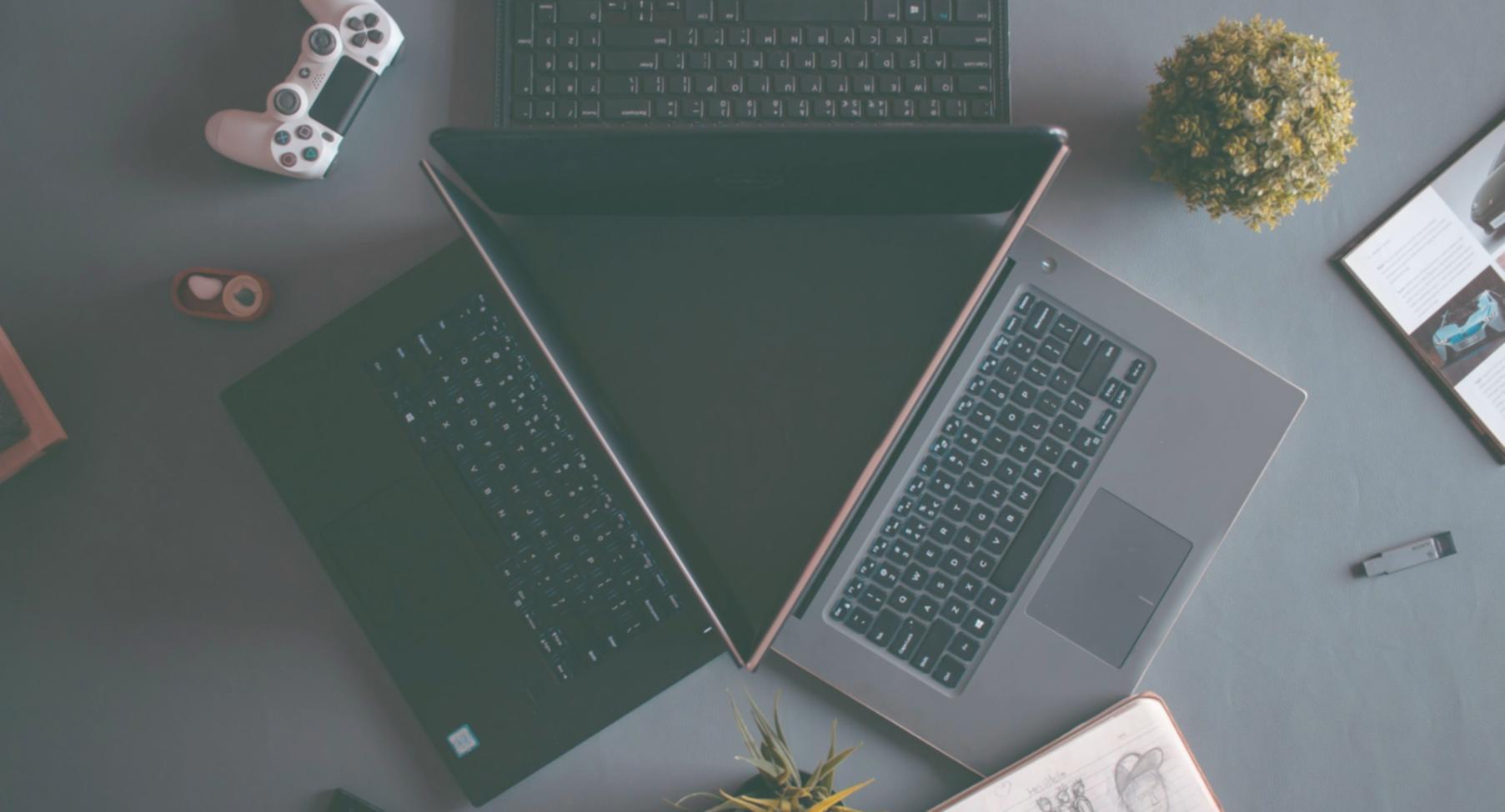 Datenbankstrukturplanung und Schema-Design bei Zoryphanta